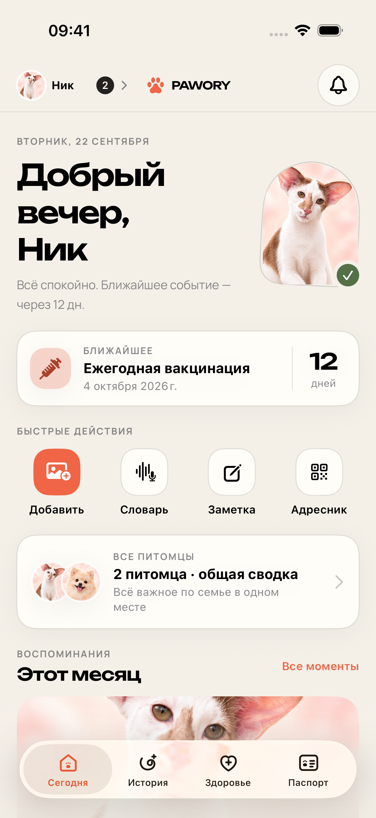 Главный экран Pawory с профилем кота Ника